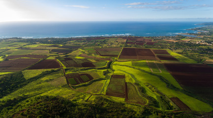 Aerial view of farmland along the coast of the north shore of Oahu Hawaii - 319029992