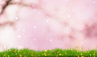 spring background with flowers, blossom tree and lilac heaven 