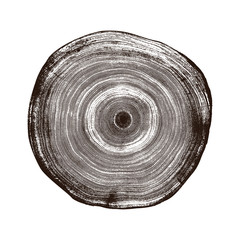 Monotone wood texture stamp. Detailed tree ring design. Rough organic tree rings with close up of end grain.