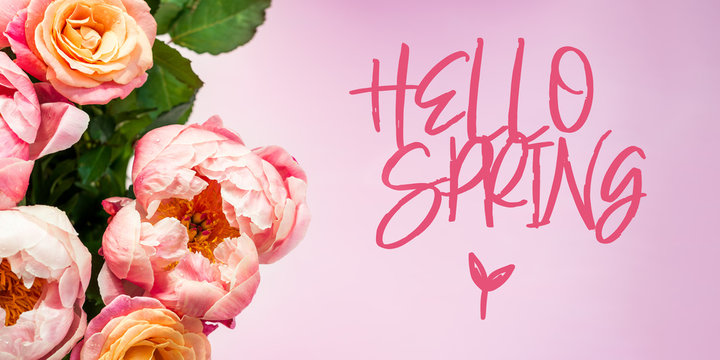 Fresh bunch of pink peonies and roses and slogan Hello Spring. Card Concept, pastel colors, close up image, banner size