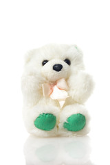 Fluffy teddy bear isolated on white background