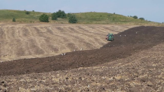Land cultivation. Tractor prepares land for sowing.