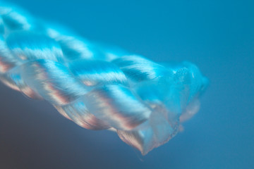 Macro image fibers of a clothesline