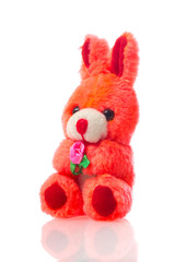 sitting rabbit toy romatic gift isolated on white background