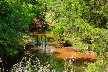 reflection of the forest on the surface of the river in the park