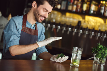 Making Drink. Bartender standing at counter holding mint leaves smiling cheerful