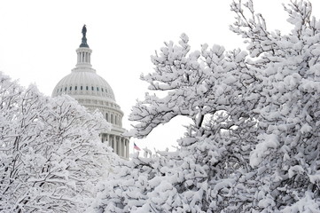 Snow Cap