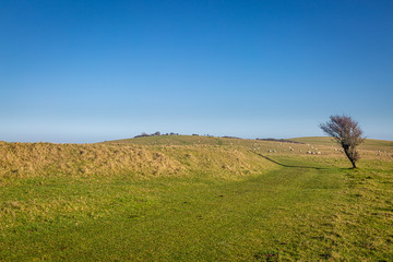 Fototapeta na wymiar A grassy path along the South Downs Way in Sussex on a sunny winters day