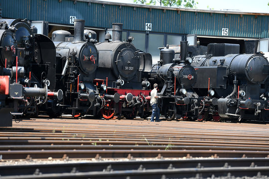Historische Lokomotiven im Lokpark Ampflwang (Bezirk V&ouml;cklabruck, Ober&ouml;sterreich, &Ouml;sterreich) - Historic locomotives in the Ampflwang locomotive park (V&ouml;cklabruck district, Upper Austria, Austria)