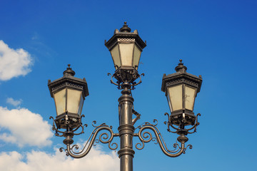 Fototapeta na wymiar Street electric lamp post. Street lamp in the park. Decorative street lamp