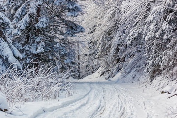 Winter landscape - view of the snowy road in the winter mountain forest after snowfall