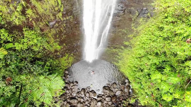 Aerial View of Manoa Falls in Oahu, Hawaii