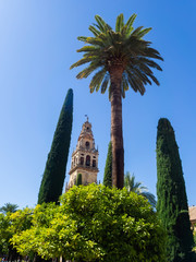 old city of Cordoba. Spain