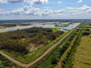 Aerial View of Swamp