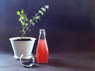 Strawberry juice with Basil seeds in a glass bottle, a transparent vase with seeds and a flowering...