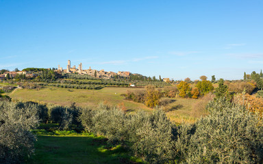 View of the Italian town of San Gimignano, a small walled medieval hill town in Tuscany known as the Town of Fine Towers. Tuscan landscape with hills and olive trees