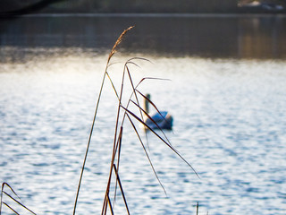Fototapeta na wymiar fishing rod in water