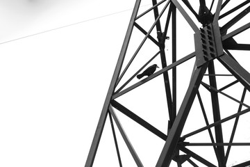 Dove sits on a metal structure of a power pole
