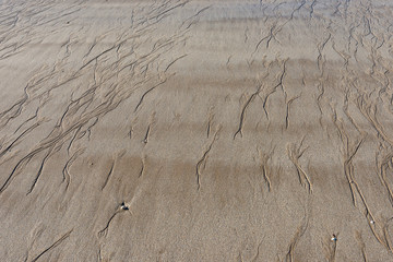 sandy beach close up. traces and ripples left by the ocean at low tide. plage de sable en gros...