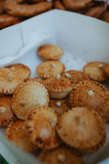 Portuguese Chicken Pie