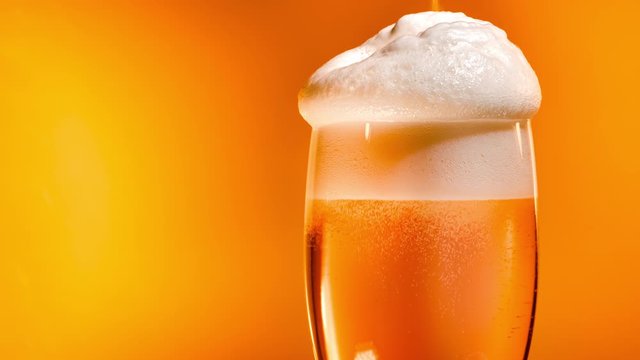 Lager beer settles in the glass with a white cap of foam