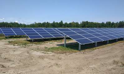 Beautiful Solar Panel Farm Ecology Power Conservation