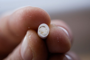 Close up image with the the fingers of a man holding an open drug capsule with a white powder...