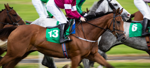 Horse racing action, close up on galloping race horses, panning motion blur effect