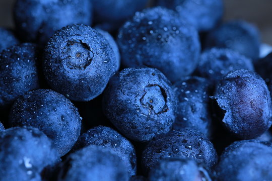 Bleuets frais