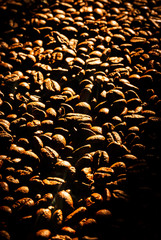 Obraz premium Roasted coffee beans