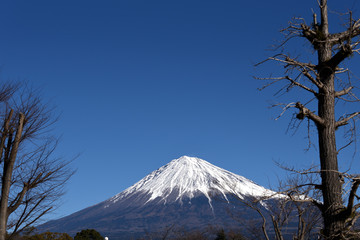富士山