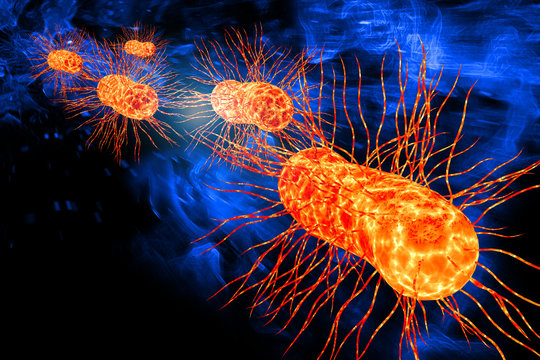 E.Coli Bacteria Cells 3D Illustration