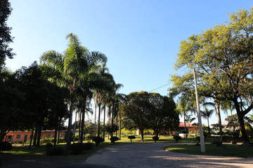 Landscape