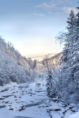 Beautiful winter landscape in the mountains with fir trees under the snow.