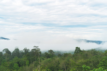 Good Morning mist background sky, Misty beautiful mountain in the Golden Mountain Bright green, abundant in Narathiwat Thailand.