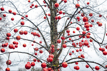 tree bare branches decorated by red ball on February Saint Valentine day holiday gray sky background