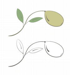 Olive tree branch with olive and leaves in two versions, color and gray