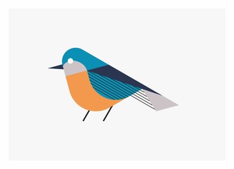 Colorful Bird Illustration 15
