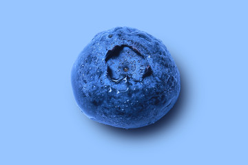 Nice closeup on fresh blueberry