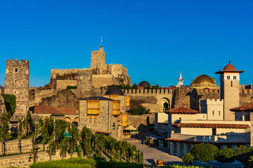 Fototapeta na wymiar Rabati Castle Grape vine Akhaltsikhe Samtskhe Javakheti Georgia Europe landmark