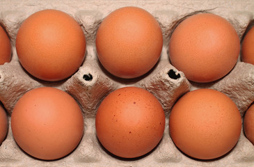 close-up of brown chicken eggs in cardboard eco-friendly packaging