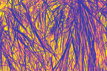 abstract pink, yellow, violet, purple and blue colors background for design