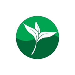 Green leaf logo
