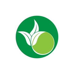 Green leaf logo