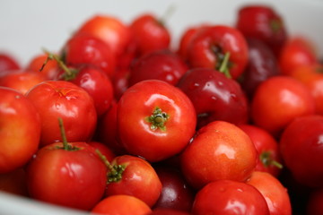 Acerola