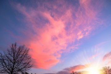 Fototapeta premium Pink Cloud with Sun