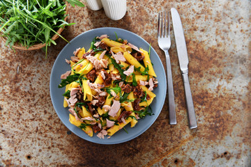 Penne pasta with tuna chunks, rucola and dry tomatoes