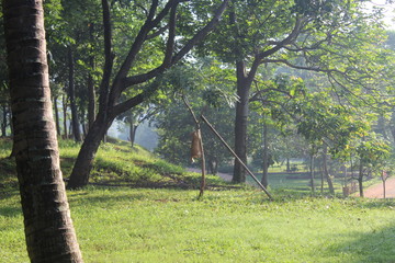 Garden in the morning of Jakarta