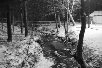 Winter stream