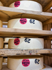 Obraz na płótnie Canvas Row of aging Cheese on wooden shelves at maturing cellar of Franche Comte dairy in France